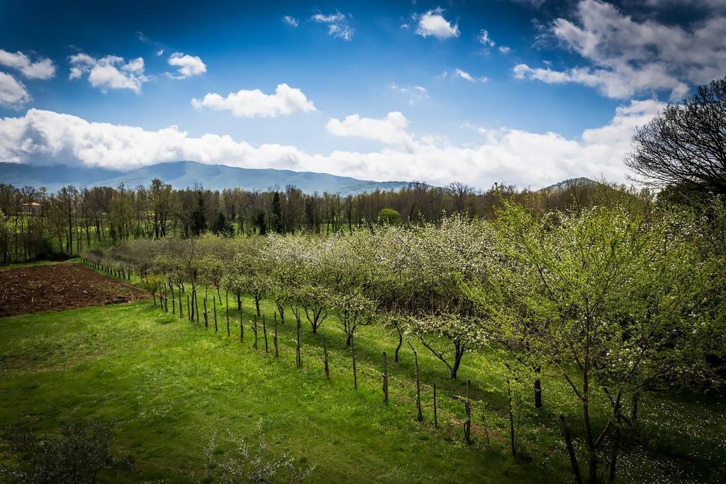 La Dolce Mela Villa Buonabitacolo Kültér fotó